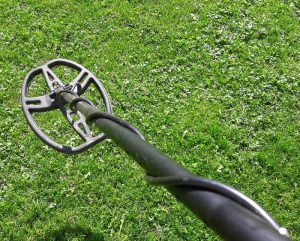 Detektor-Grass
