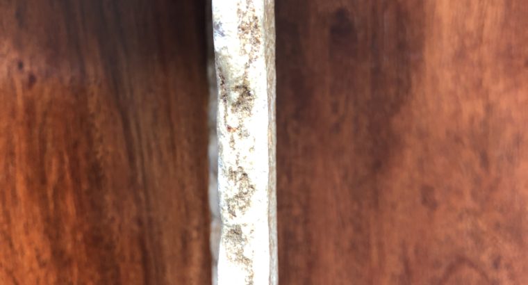 Stein oder Knochen