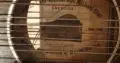 Zither