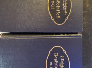 F.Dostojewski  Verbrechen und Heimsuchung